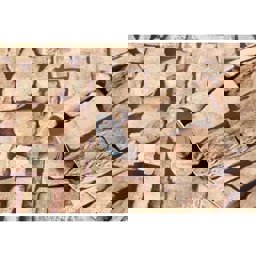 Bigpoint Yapışkanlı Folyo 45cm X 2metre Mermer Desen No:35 için detaylı bilgi göster Bigpoint Yapışkanlı Folyo 45cm X 2metre Mermer Desen No:35 resmi