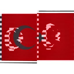 Türk Bayrağı 30X45 için detaylı bilgi göster Türk Bayrağı 30X45 resmi