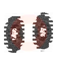 Bay-Tec Flap Disk Zımpara 115x22mm 80 Kum için detaylı bilgi göster Bay-Tec Flap Disk Zımpara 115x22mm 80 Kum resmi