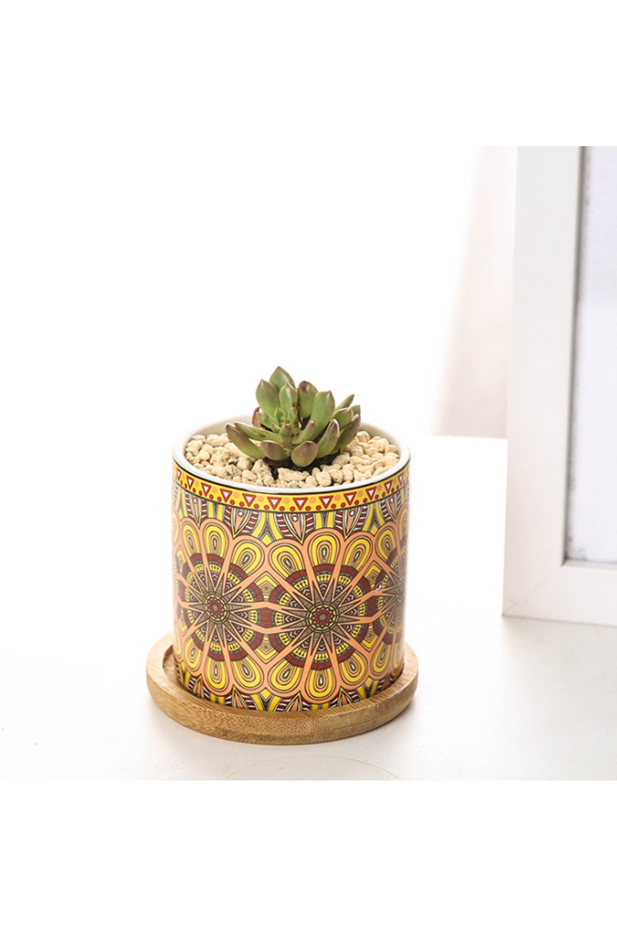 Arts Bohem Tarzı Mandala Kaktüs ve Sukulent Saksı (3) resmi
