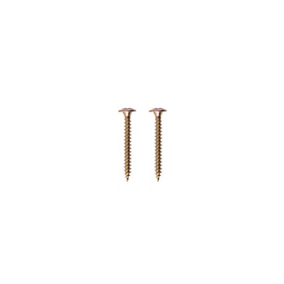Pul Başlı Vida 4.5 Cm Tek resmi