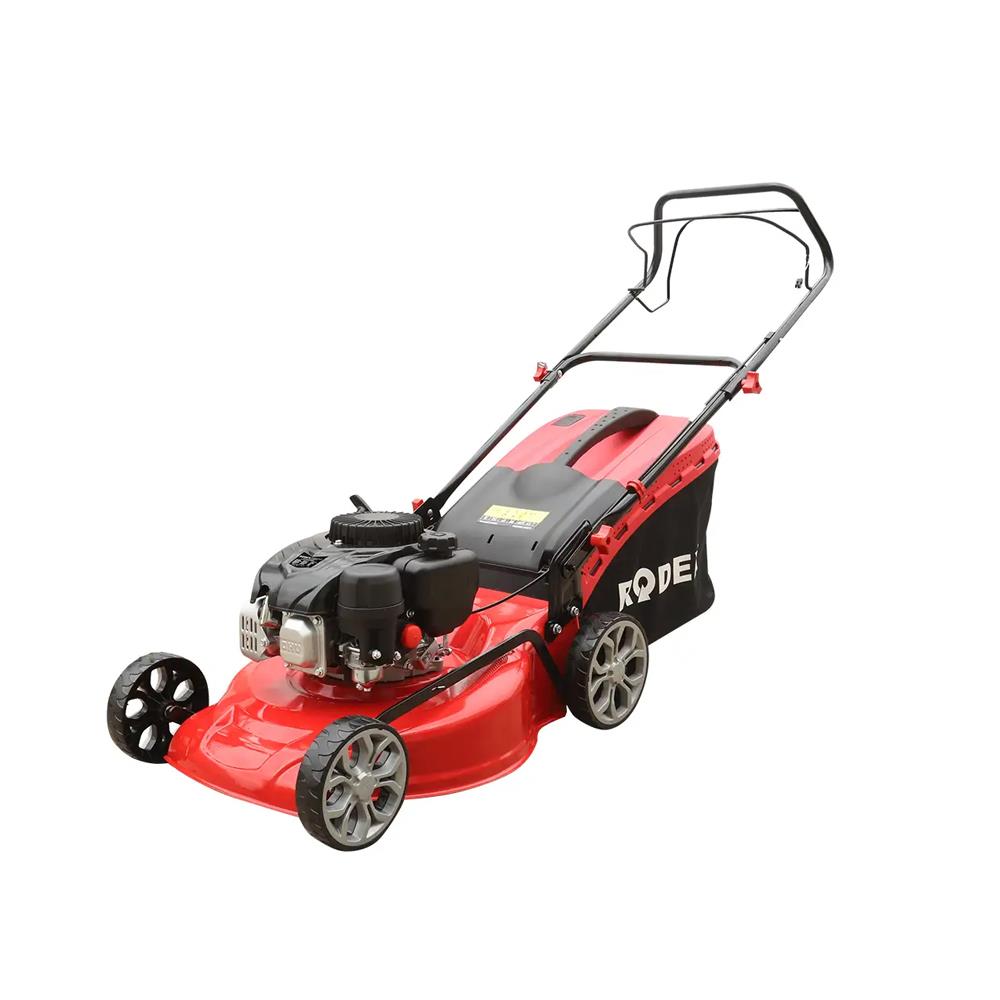 Rodex Benzinli Çim Biçme Makinesi Şanzimanli 5.5 Hp Rdx9648 resmi