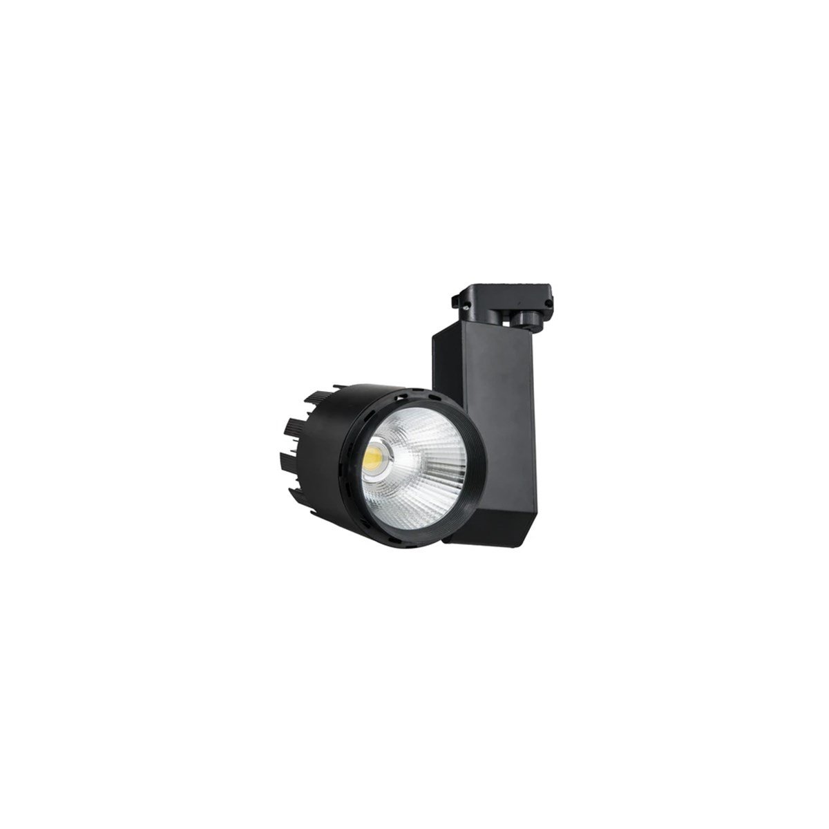 Ray Spot 30W Fl-2235 S resmi