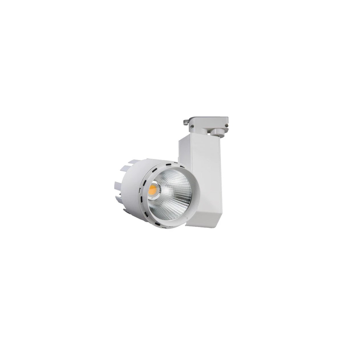 Ray Spot 30W Fl-2235 B resmi