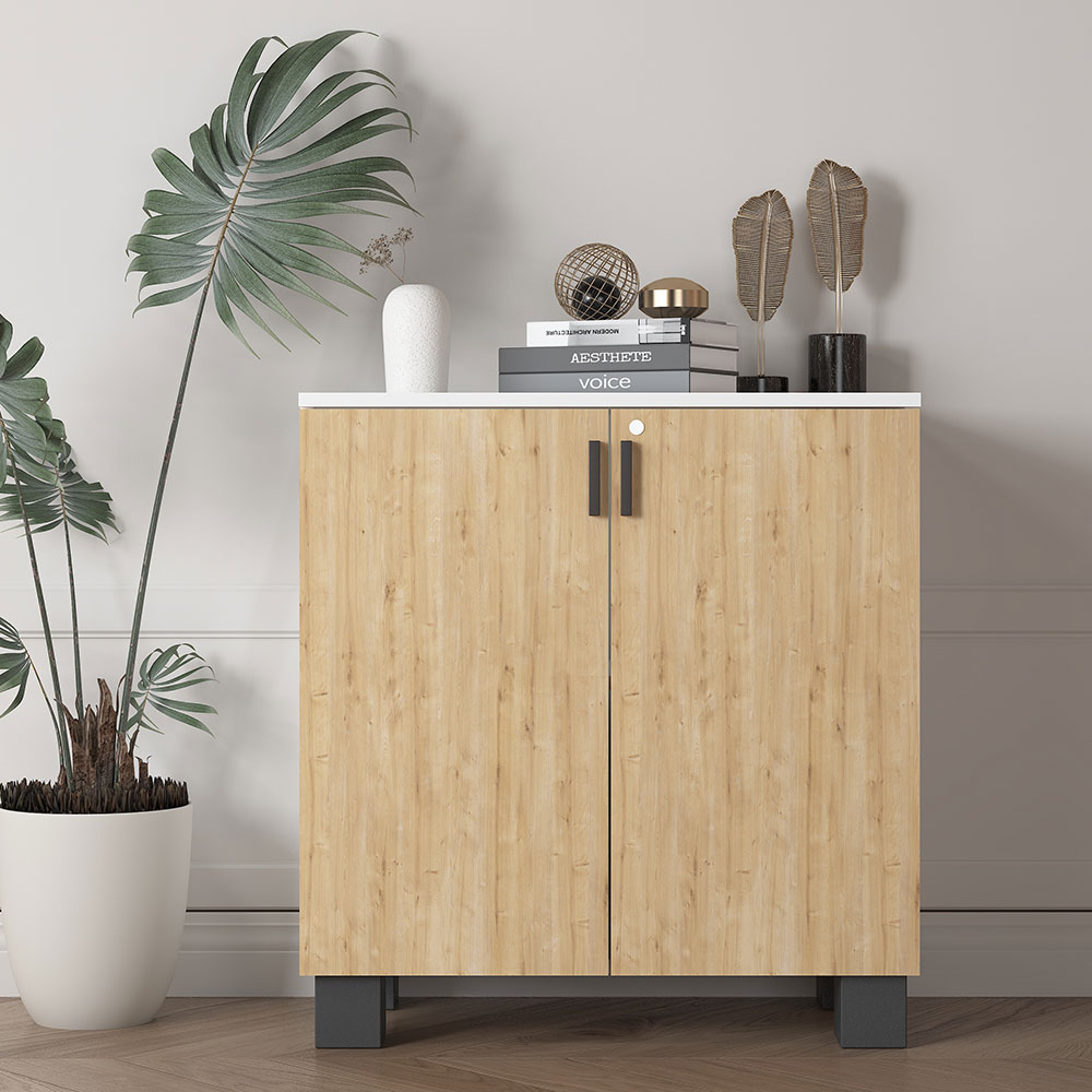 Bgr Ofis Dosya Dolabı Beyaz-Safir Meşe 8000 resmi