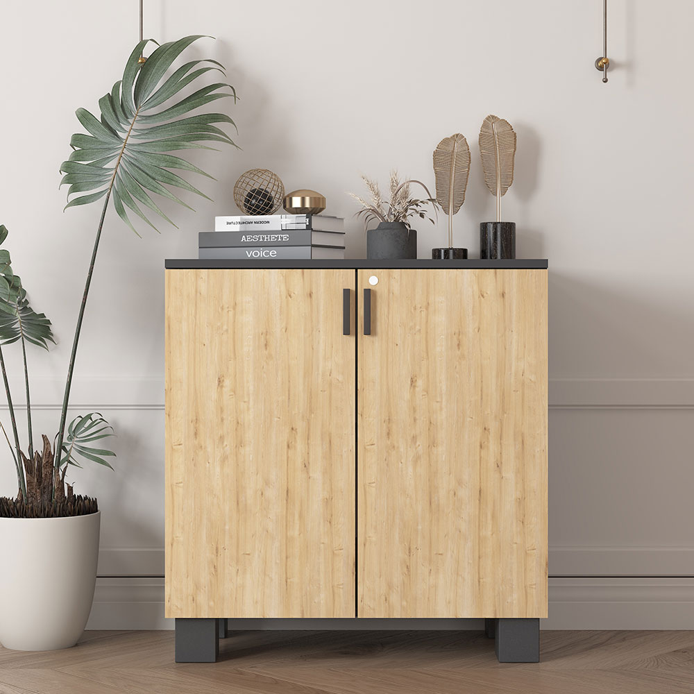 Bgr Ofis Dosya Dolabı Antrasit-Safir Meşe 8000 resmi