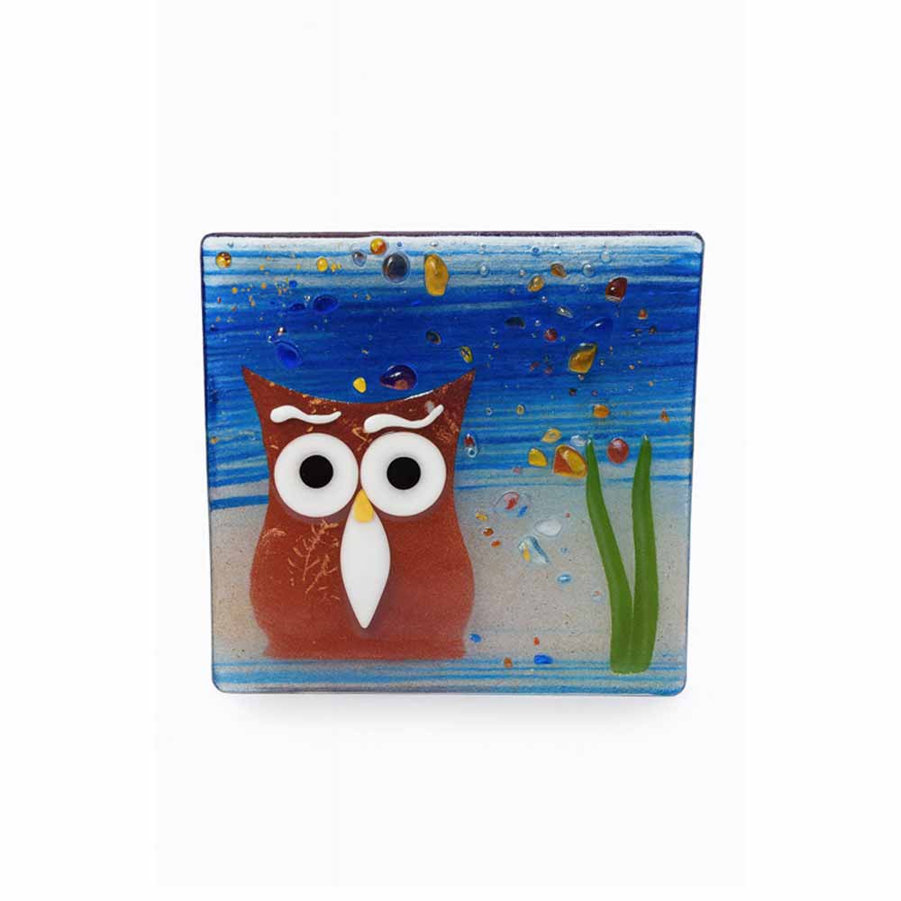 Füzyon Cam Gider Kapağı 15X15 Baykuş resmi