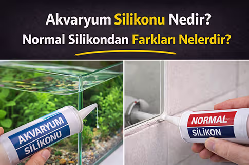 Akvaryum Silikonu Nedir? Akvaryum Yaparken Neden Normal Silikon Kullanılmaz?