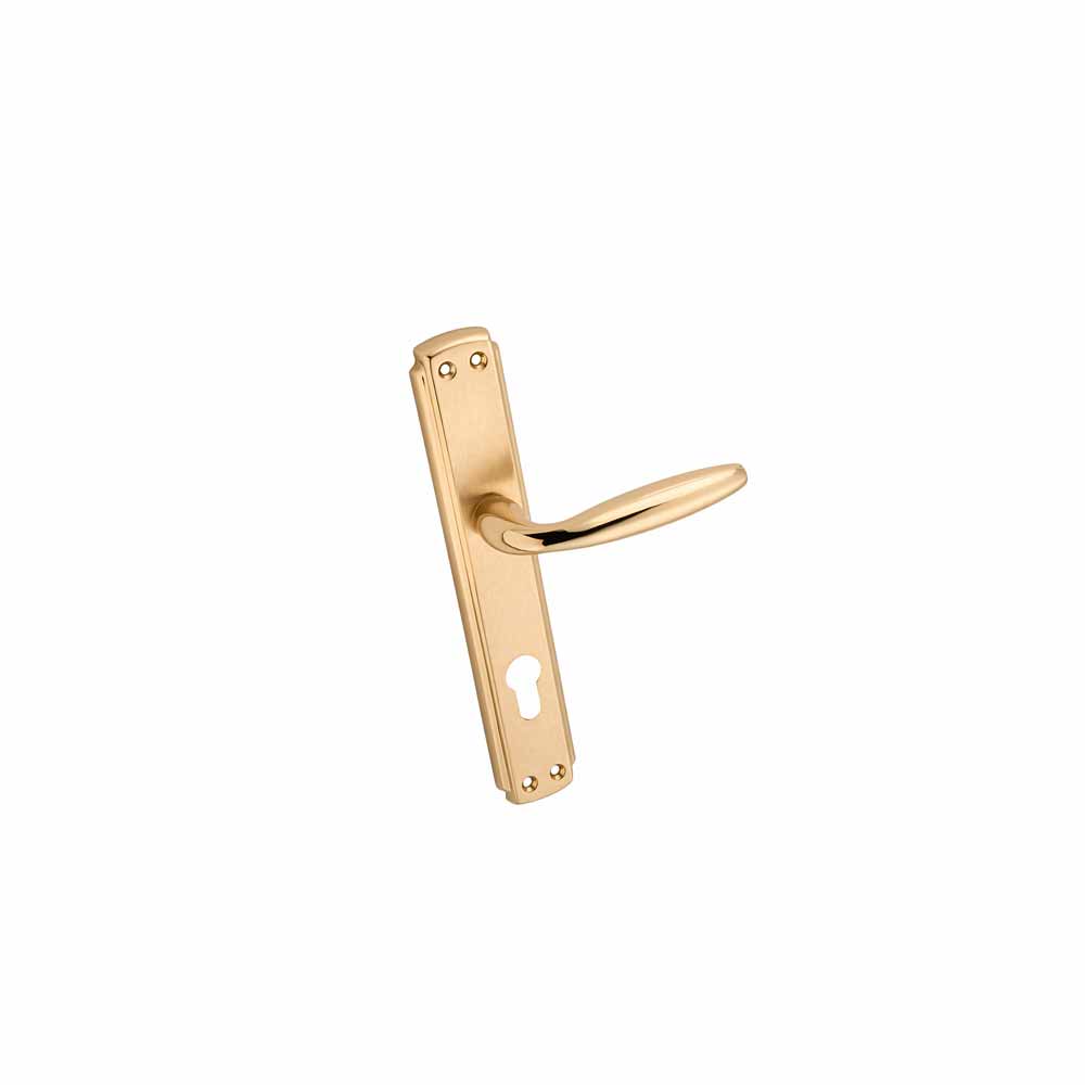 İnan Meltem Kapı Kolu Takımı Yale Albirifin Saten As-204 resmi