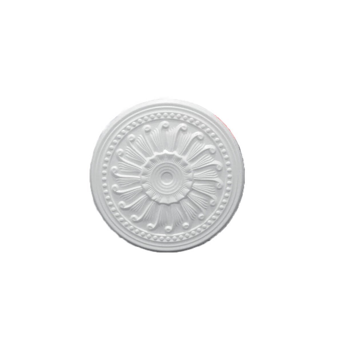 Decosa Göbek Salyangoz 46 Cm GS05-46 resmi